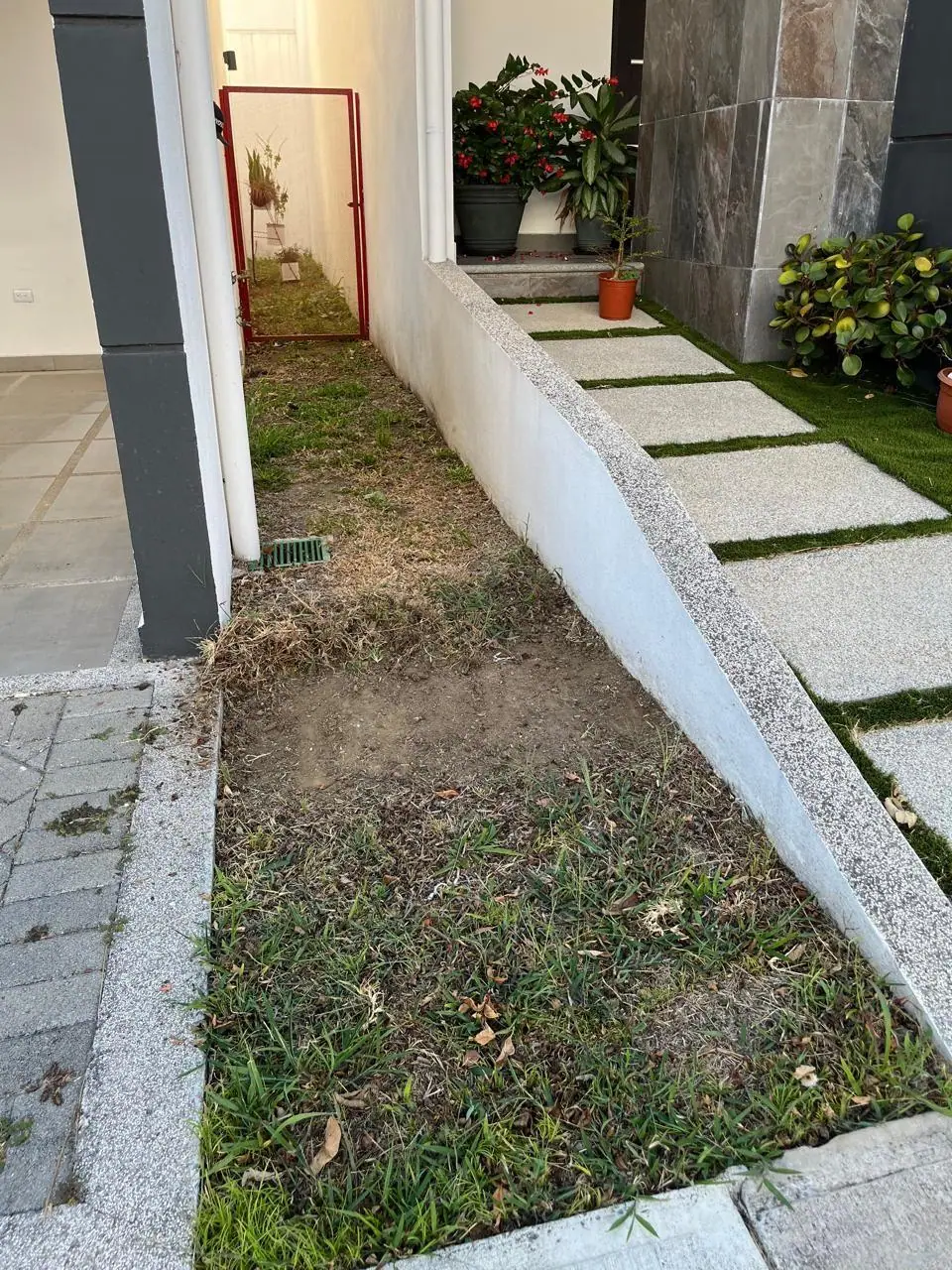 Antes: sendero con zacate seco y descuidado