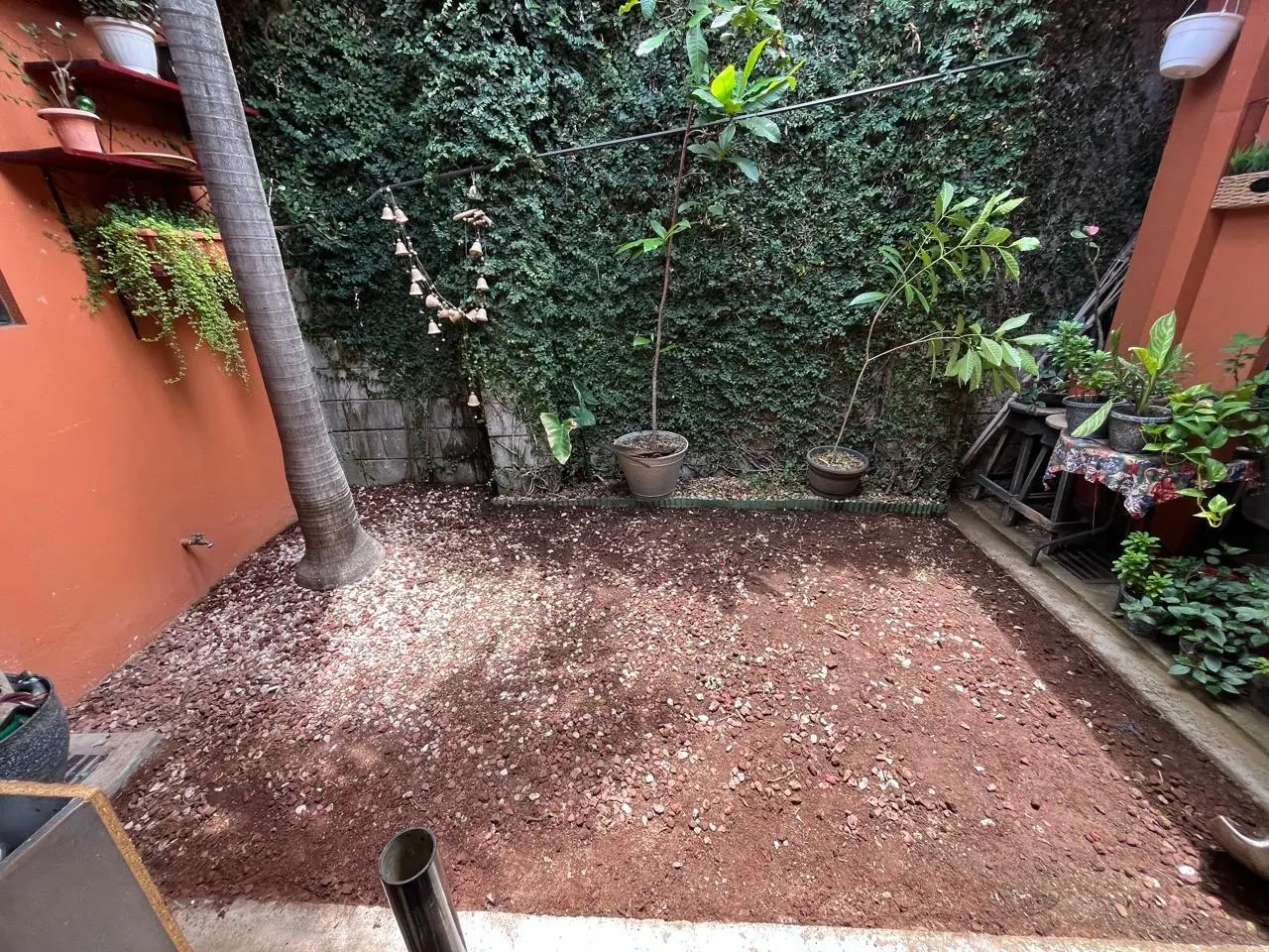 Antes: patio de tierra sin vida